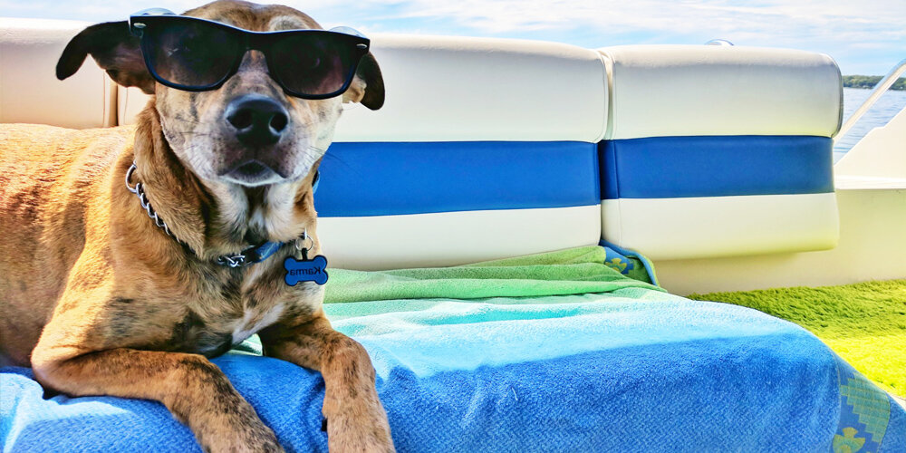 διακοπές με σκάφος και σκύλο